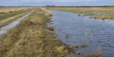 Otmoor, saved from the M40 by 3,500 Friends of the Earth